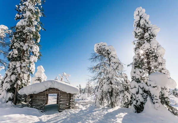 Pokryte Śniegiem Zima Drewnianej Chacie Mrożone Chatce Finlandia Laponia — Zdjęcie stockowe