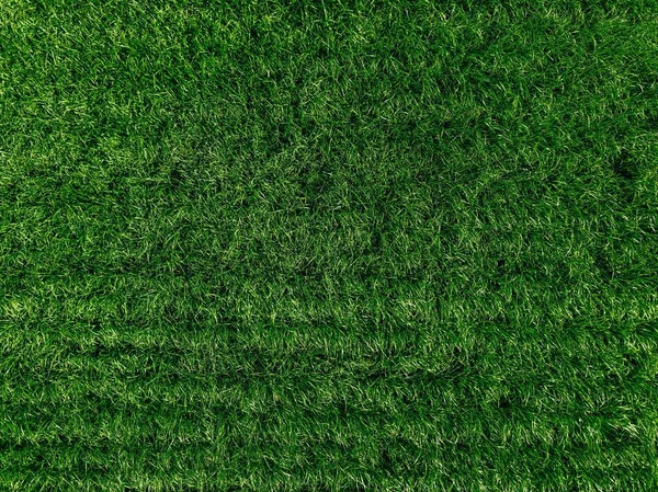 Luchtfoto van natuurlijke groene gras textuur. Groen gebied in Finland — Stockfoto