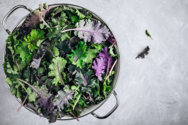 Yeşil bebek lahana gri taş arka planda beyaz kevgir yaprakları. Sağlıklı Smoothie, salata veya pesto sos için madde
