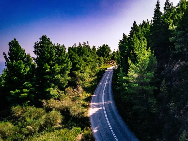 Εναέρια θέα πάνω από το πράσινο δάσος και το δρόμο στην Ελλάδα — Φωτογραφία Αρχείου