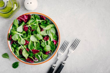 Taze yeşil karışık salata radicchio ve kuzu marul ile kase yaprakları. 