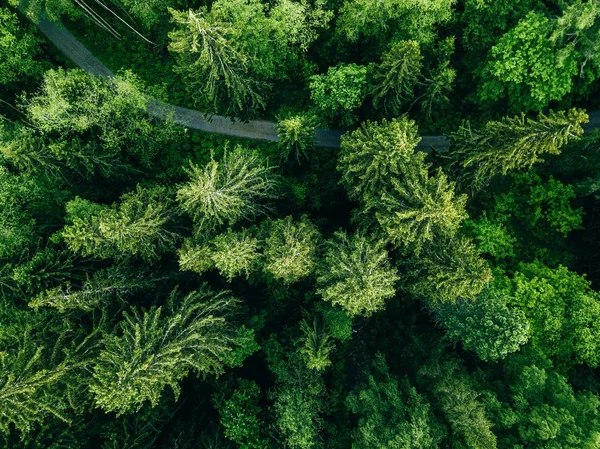 Vista aérea de la carretera de campo en el verde bosque de verano. Paisaje rural en Finlandia . — Foto de Stock