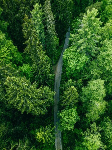 Vista aérea de la carretera de campo en el verde bosque de verano. Paisaje rural en Finlandia . — Foto de Stock