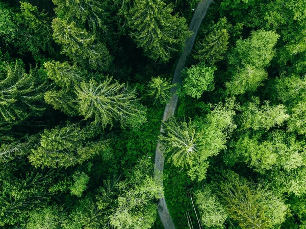 Vista aérea de la carretera de campo en el verde bosque de verano. Paisaje rural en Finlandia . — Foto de Stock