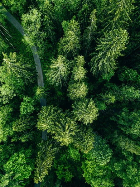 Vista aérea de la carretera de campo en el verde bosque de verano. Paisaje rural en Finlandia . — Foto de Stock