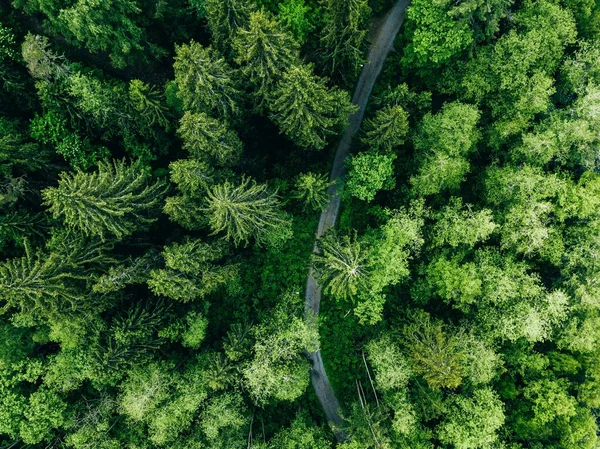 Vista aérea de la carretera de campo en el verde bosque de verano. Paisaje rural en Finlandia . — Foto de Stock