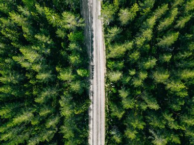 Yeşil yaz ormanı yolu havadan görünüyor.. 