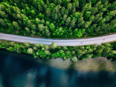 Finlandiya'da yeşil orman ve mavi göl arasındaki yolun havadan görünümü