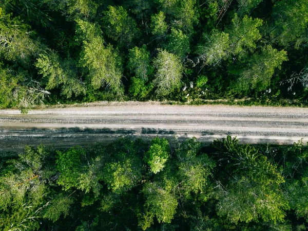 Vista aérea del verde camino forestal de verano. — Foto de Stock