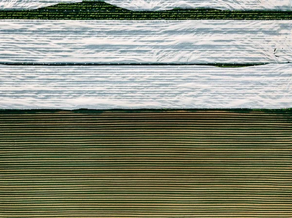 Vista aérea do campo de linhas de batata na paisagem agrícola — Fotografia de Stock