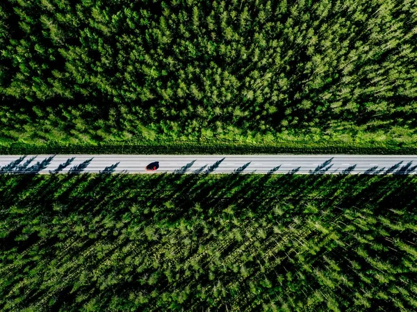 Вид з повітря на заміську дорогу з червоним автомобілем посеред зеленого літнього лісу — стокове фото