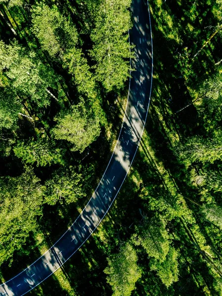 Vista aérea de una carretera en el verde bosque de verano en Finlandia — Foto de Stock
