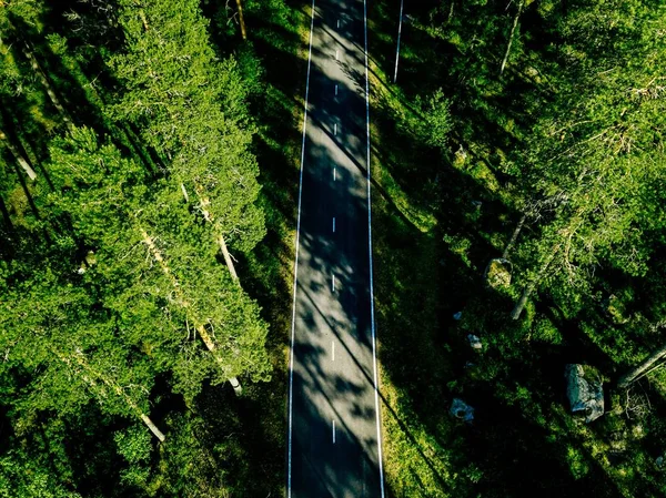 Vista aérea de una carretera en el verde bosque de verano en Finlandia — Foto de Stock