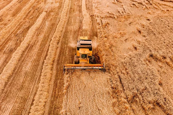 Воздушный обзор комбайна сельскохозяйственной машины, работающей на спелых пшеничных полях . — стоковое фото