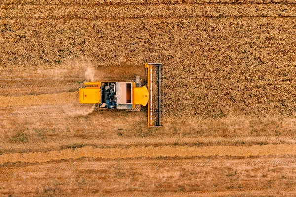 Flygfoto av skördetröska jordbruk maskin som arbetar på mogna vetefält. — Stockfoto