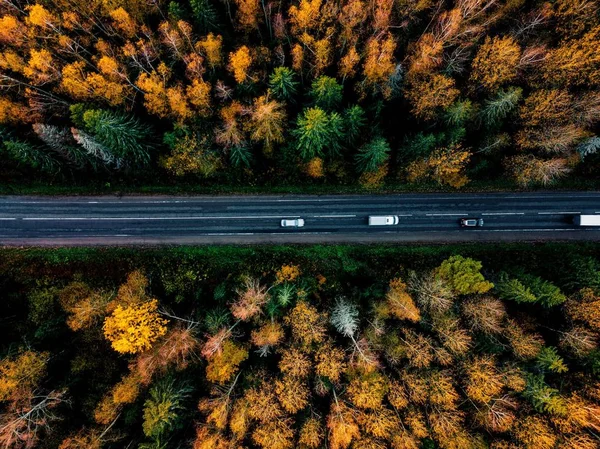 Luchtfoto van de weg in het prachtige herfst bos in landelijk Finland. — Stockfoto