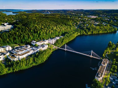 Finlandiya'da kablolu köprü ve yeşil yazlık şehir ile mavi gölün havadan görünümü. 