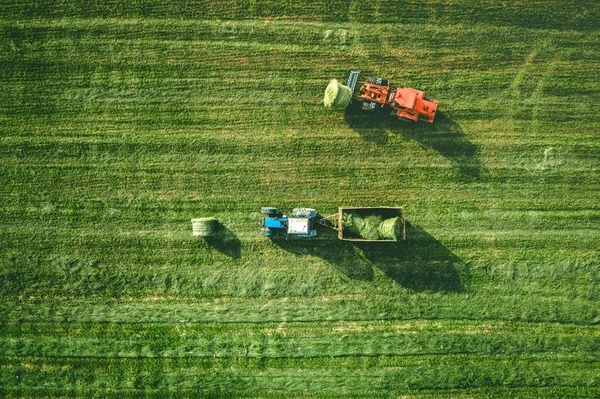 Flygvy över traktor med rundbalpress rullande balar av halm på skördad fält — Stockfoto