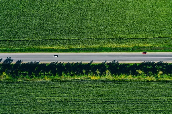 Aerial utsikt över en lantlig asfaltväg genom en grön majs fält på sommaren — Stockfoto