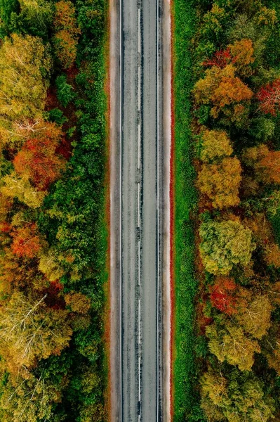 A vörös, sárga és narancs lombú erdők őszi erdejének légiútja. — Stock Fotó