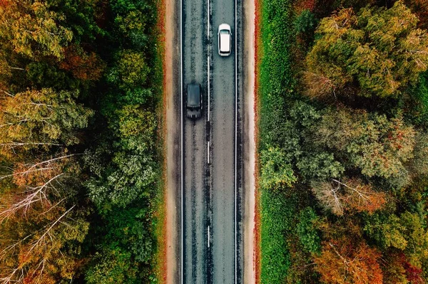 赤、黄、オレンジの葉を持つ秋の森の道路と車の航空写真. — ストック写真