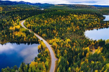 Finlandiya 'da dağlar ve mavi göllerle dolu havadan yol ve renkli sonbahar ormanı manzarası. 