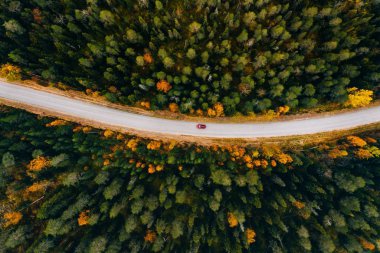 Finlandiya kırsalındaki sarı ve turuncu sonbahar ormanlarındaki kırsal yol manzarası. 