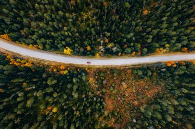 Finlandiya kırsalındaki sarı ve turuncu sonbahar ormanlarındaki kırsal yol manzarası. 