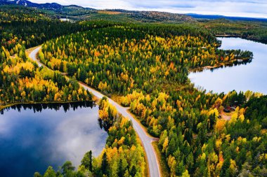 Finlandiya 'da dağlar ve mavi göllerle dolu havadan yol ve renkli sonbahar ormanı manzarası. 