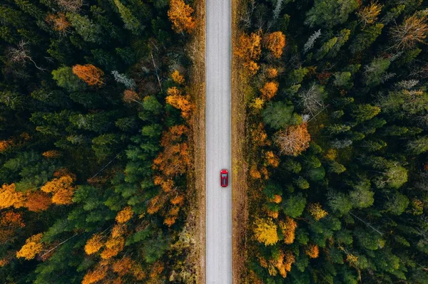 Aerial view of rural road in yellow and orange autumn forest in rural Finland. — ストック写真