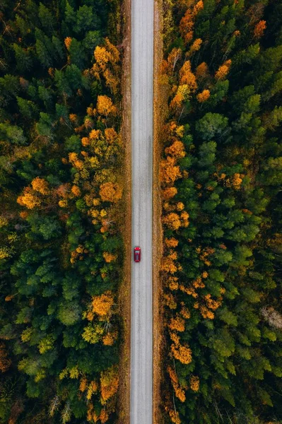 A vidéki út légi rálátása a sárga és narancssárga őszi erdőkre Finnországban. — Stock Fotó