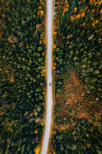 Aerial view of rural road in yellow and orange autumn forest in rural Finland. — Stock Photo, Image