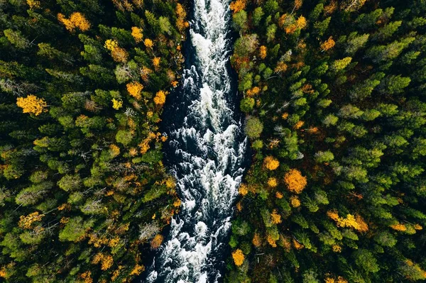 Veduta aerea del fiume veloce scorrono attraverso le rocce e la foresta colorata. Autunno in Finlandia — Foto Stock