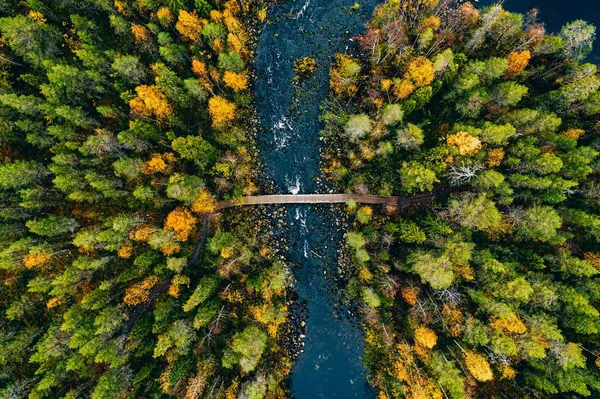 Aerial view of fast river flow through the rocks and colorful forest. Autumn in Finland — Stock Photo, Image