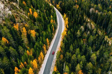 Dağlardaki sonbahar renk ormanlarının havadan görünüşü ve Finlandiya 'da arabalı bir yol.. 