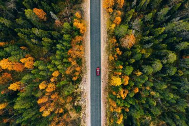Finlandiya kırsalındaki sarı ve turuncu sonbahar ormanlarındaki kırsal yol manzarası. 