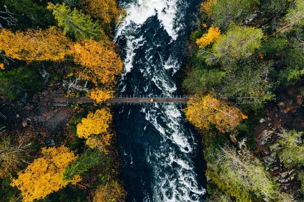 Vista aérea del río con puente colgante en colorido bosque otoñal en Finlandia . —  Fotos de Stock