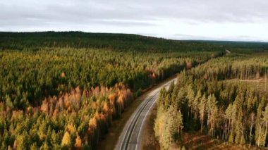 Renkli Sonbahar Ormanı üzerindeki uçuş, Finlandiya 'da karayolu 4k
