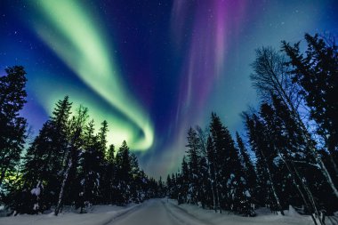 Kuzey kutup ışıkları Finlandiya 'daki kar ormanlarında Aurora Borealis etkinliği