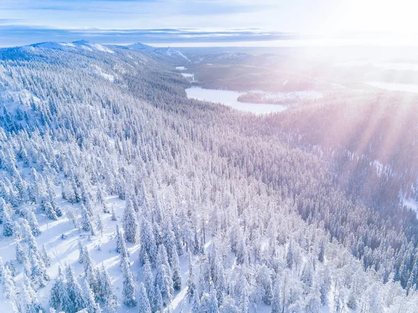 Vista aérea de uma montanha de inverno com floresta coberta de neve na Finlândia — Fotografia de Stock