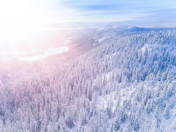 Vista aérea de uma montanha de inverno com floresta coberta de neve na Finlândia — Fotografia de Stock