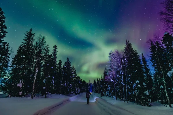 Színes sarkvidéki északi fények Aurora Borealis tevékenység egy személy hó téli erdőben Finnországban — Stock Fotó