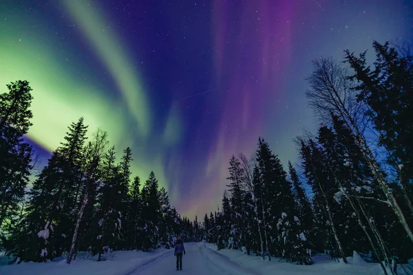Színes sarkvidéki északi fények Aurora Borealis tevékenység egy személy hó téli erdőben Finnországban — Stock Fotó