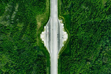 Yeşil çam ormanında parkı olan Toll Yolu 'nun hava manzarası.