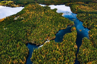 Aerial view of blue rivers and lakes in beautiful orange and red autumn forest. Oulanka National Park, Finland. clipart
