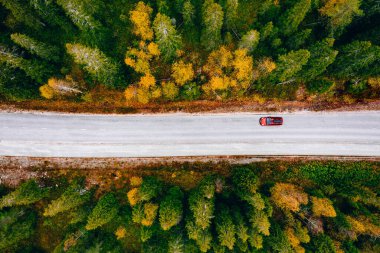Finlandiya kırsalında sarı ve turuncu sonbahar ormanlarında kırmızı arabalı kırsal yol manzarası.