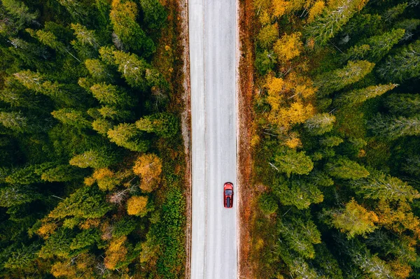 田舎フィンランドの黄色とオレンジの秋の森の中で赤い車と農村部の道路の空中ビュー — ストック写真
