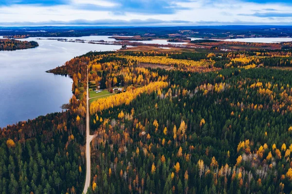 Luchtfoto Van Landelijke Weg Met Rode Auto Geel Oranje Herfstbos — Stockfoto