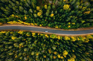 Finlandiya Laponya 'da eğri yol ve renkli sonbahar ormanlarının hava manzarası.