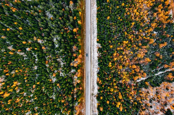 Vista Aérea Estrada Rural Com Primeira Neve Floresta Outono Amarela — Fotografia de Stock